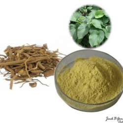 Kava Extract / Caps / Tablets