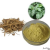 Kava Extract / Caps / Tablets