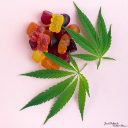 Legal THC CBD Products