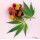Legal THC CBD Products