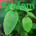 Kratom Products