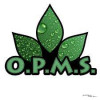 OPMS - Kratom