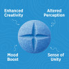 Mindless Mushroom Tablets - For Curious Minds & Good Times 4ct