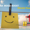 Nirvana Boost Mood - Next Level Mood - No Crash - (800mg x 2)(Case)