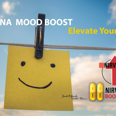 Nirvana Boost Mood - Next Level Mood - No Crash - (800mg x 2)(Case)