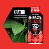 Vivazen - Natural Feel Good Pain Relief for Muscle & Body - Stay Sharp and Energized (1dz) (Case) Newest Formula
