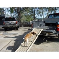 PetSTEP II - Multi-Purpose Ramp