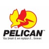 Pelican