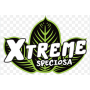 Xtreme / Evolution Dist (4)
