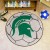 Michigan State University Soccer Ball Rug