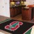Stanford University 4 x 6 Rug