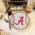 University of Alabama Baseball Rug
