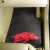 University of Arkansas 2 Piece Front Car Mats