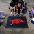 University of Arkansas Tailgater Rug