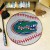 University of Florida Baseball Rug