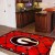University of Georgia 4 x 6 Rug