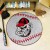 University of Georgia Baseball Rug