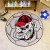 University of Georgia Soccer Ball Rug