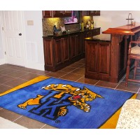 University of Kentucky  5 x 8 Rug