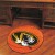 University of Missouri Basketball Rug