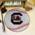 University of South Carolina Baseball Rug
