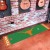 University of Texas Golf Putting Green Mat