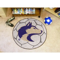 University of Washington Soccer Ball Rug