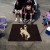 University of Wyoming Tailgater Rug