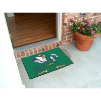 Notre Dame Starter Rug