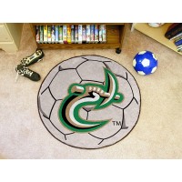 UNC University of North Carolina - Charlotte Soccer Ball Rug