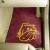 University of Minnesota-Duluth 2 Piece Front Car Mats