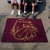 University of Minnesota-Duluth Tailgater Rug