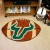 University of South Florida Football Rug