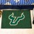 University of South Florida Starter Rug