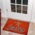 MLB - Houston Astros Starter Rug