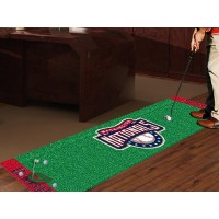 MLB - Washington Nationals Golf Putting Green Mat