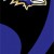 TTBA Ravens Tall Team Flag