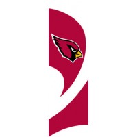 TTAC Cardinals Tall Team Flag with pole