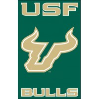 AFSFL S Florida 44x28 Applique Banner