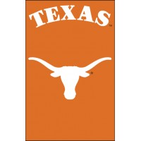 AFUT Texas 44x28 Applique Banner
