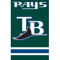 AFTBD Devil Rays 44x28 Applique Banner