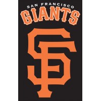 AFSFG Giants 44x28 Applique Banner