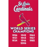 AFSCC Cardinals Championships 44x28 Applique Banner