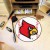University of Louisville Baseball Rug