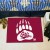 University of Montana Starter Rug