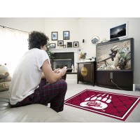 University of Montana 4 x 6 Rug