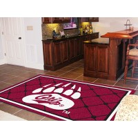 University of Montana  5 x 8 Rug