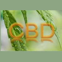 CBD Products