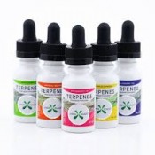 CBD Terpenes (0)