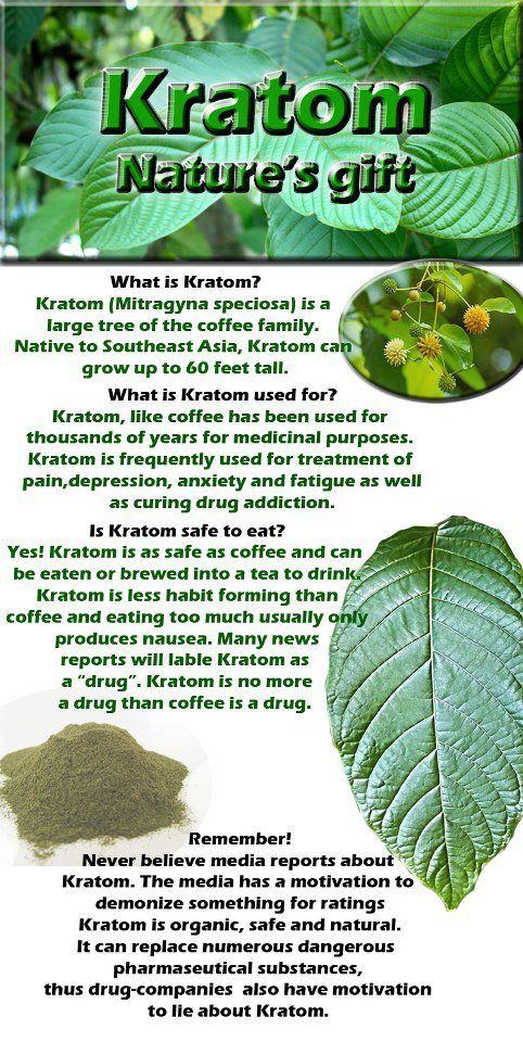 Kratom - Natures Gift